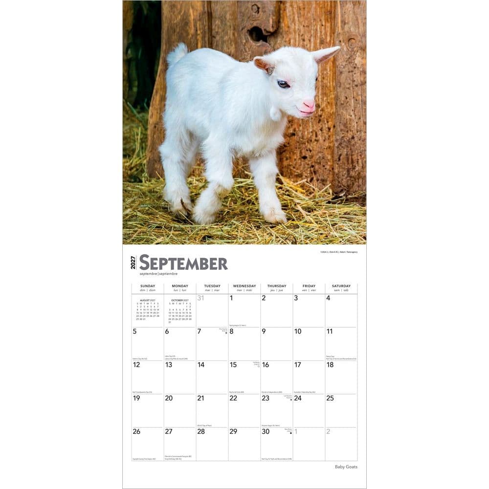 Baby Goats 2027 Wall Calendar Third Alternate Image