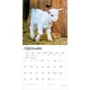 image Baby Goats 2027 Wall Calendar Third Alternate Image
