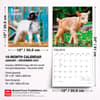 image Baby Goats 2027 Wall Calendar Sixth Alternate Image