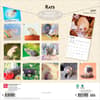 image Rats 2027 Wall Calendar First Alternate Image