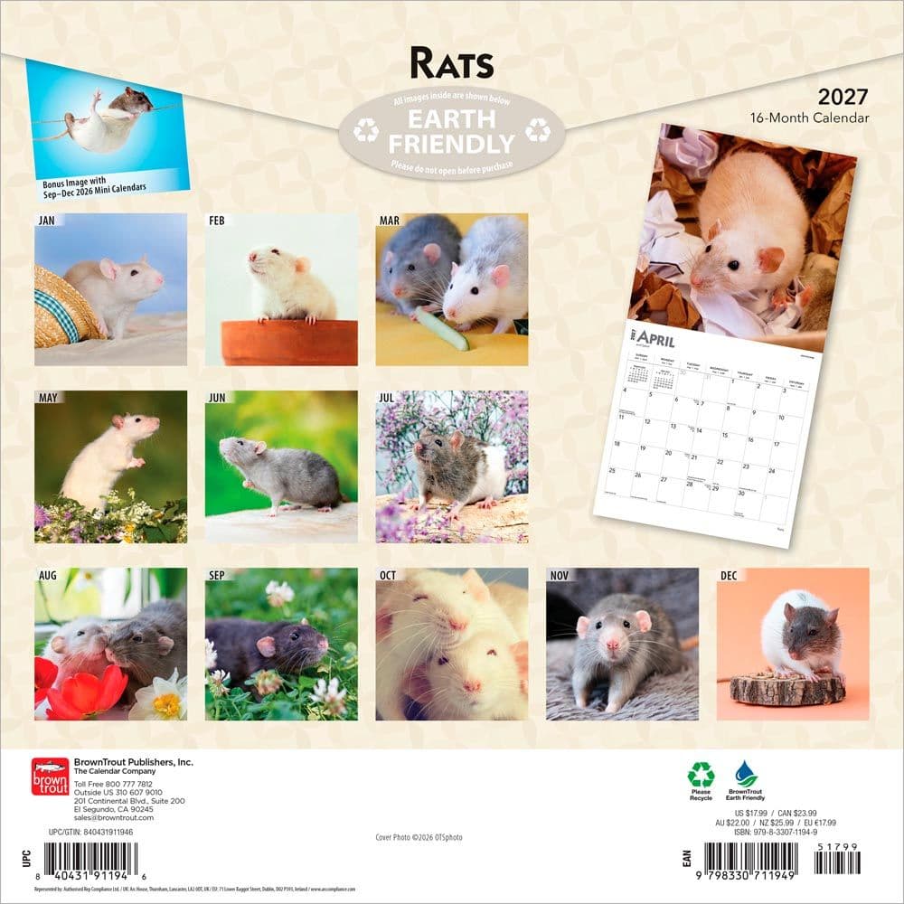 Rats 2027 Wall Calendar First Alternate Image