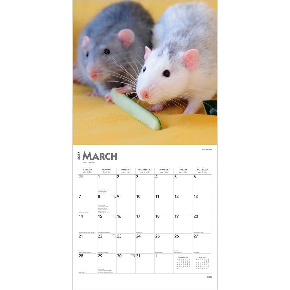 Rats 2027 Wall Calendar Second Alternate Image