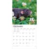 image Rats 2027 Wall Calendar Third Alternate Image