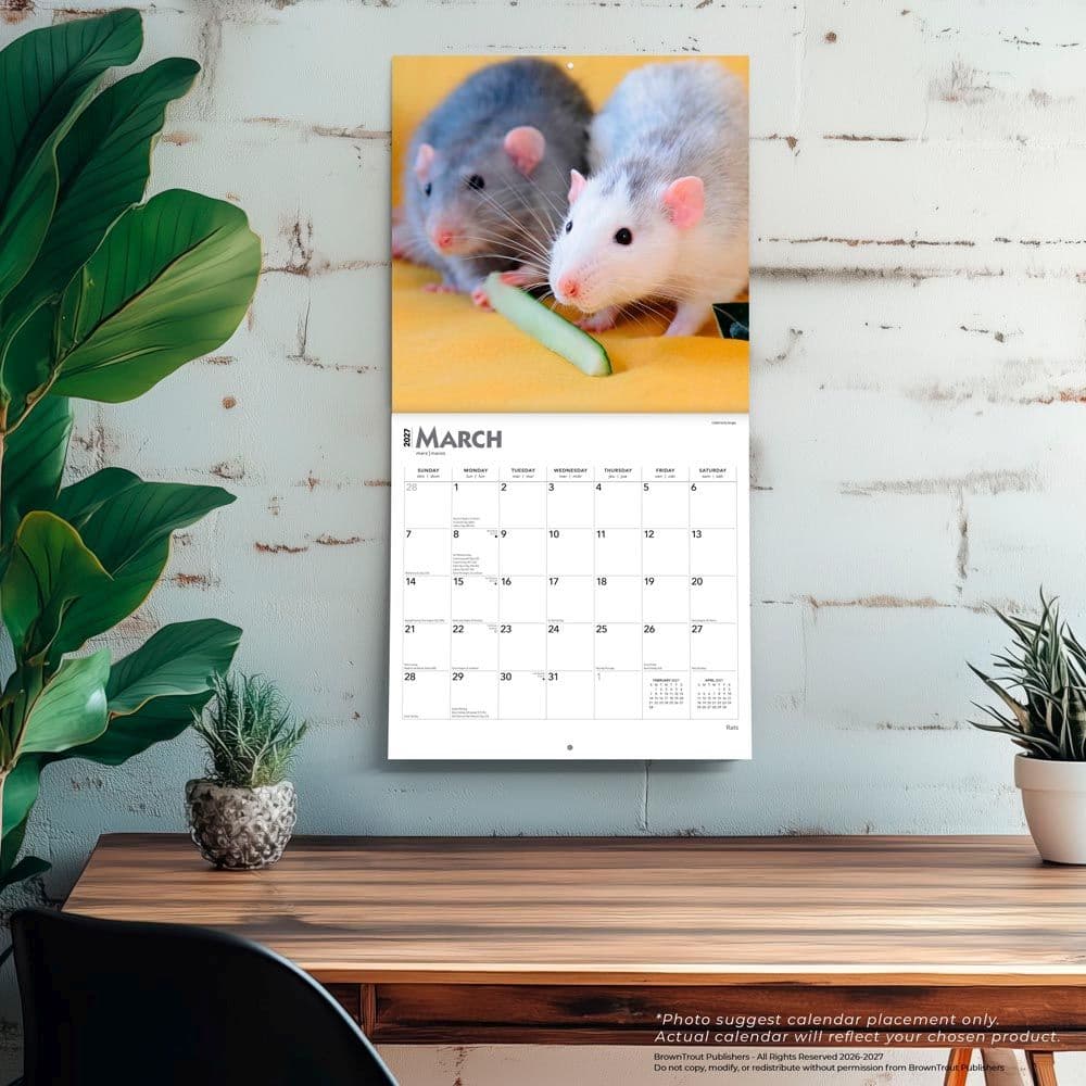 Rats 2027 Wall Calendar Fourth Alternate Image