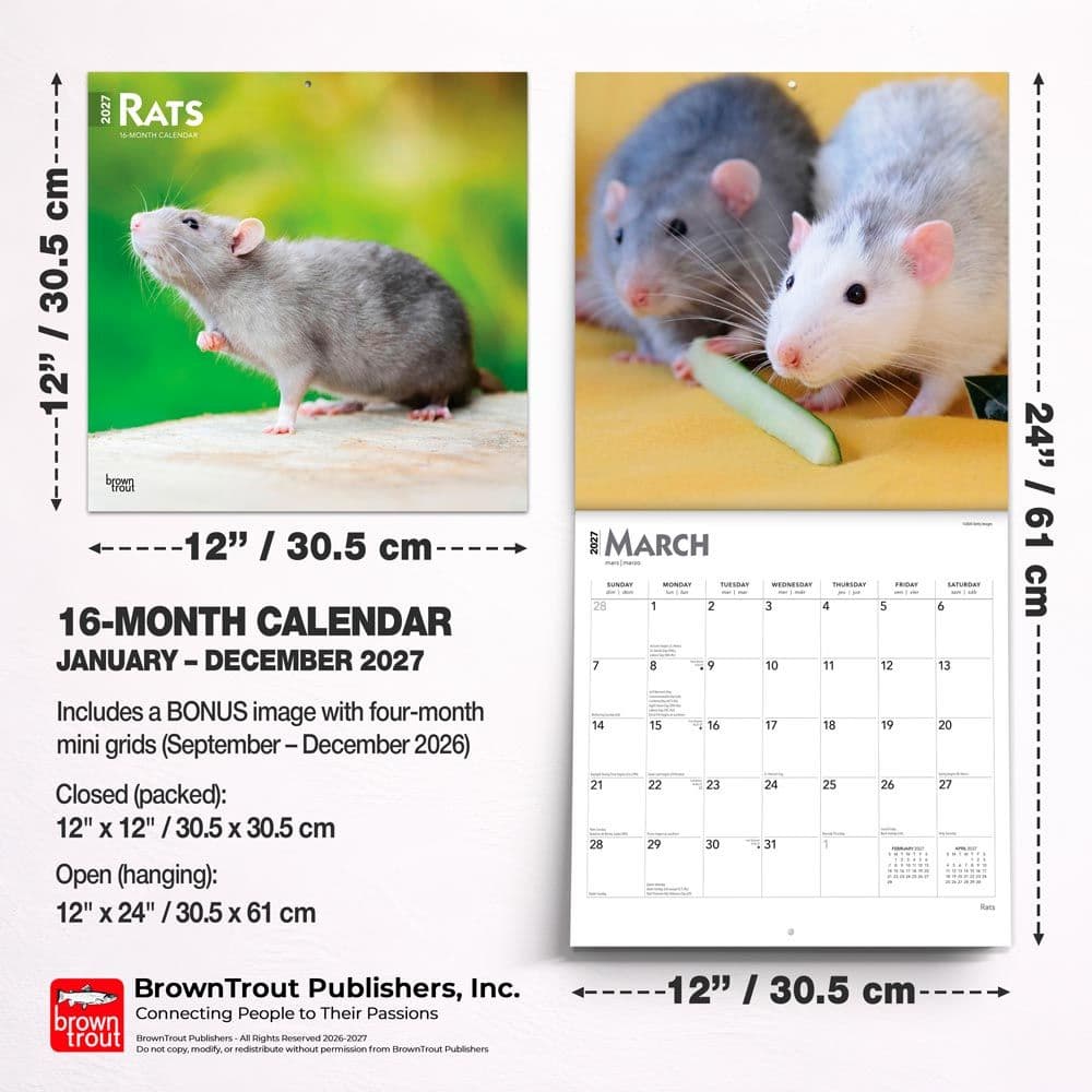 Rats 2027 Wall Calendar Sixth Alternate Image