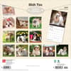 image Shih Tzu 2027 Wall Calendar First Alternate Image
