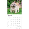 image Shih Tzu 2027 Wall Calendar Second Alternate Image