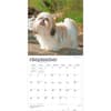 image Shih Tzu 2027 Wall Calendar Third Alternate Image