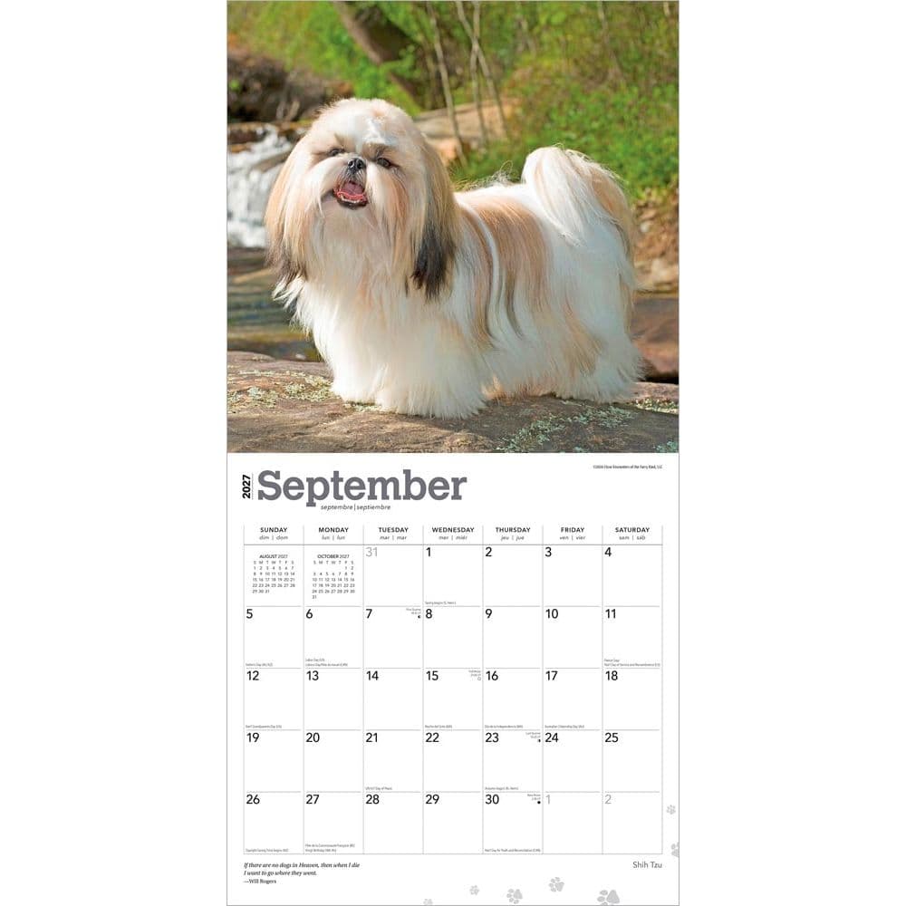Shih Tzu 2027 Wall Calendar Third Alternate Image