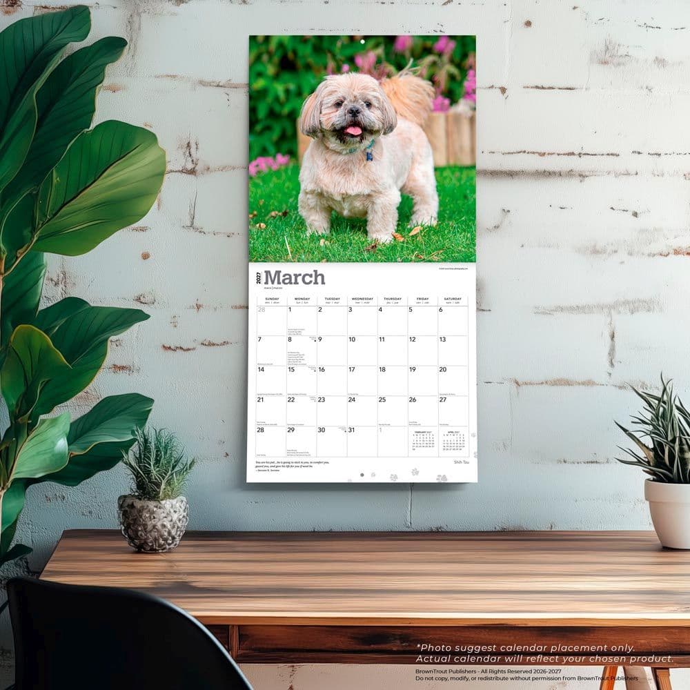 Shih Tzu 2027 Wall Calendar Fourth Alternate Image