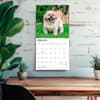 image Shih Tzu 2027 Wall Calendar Fourth Alternate Image