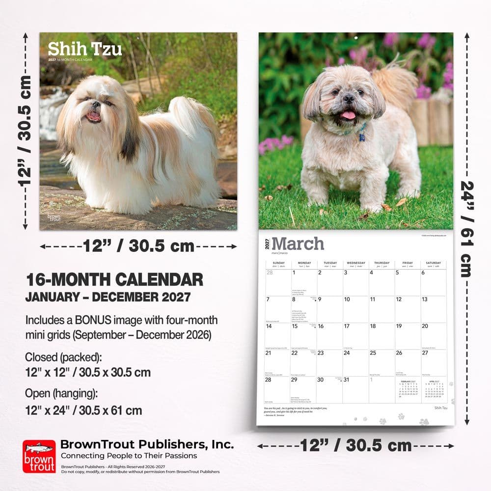 Shih Tzu 2027 Wall Calendar Sixth Alternate Image