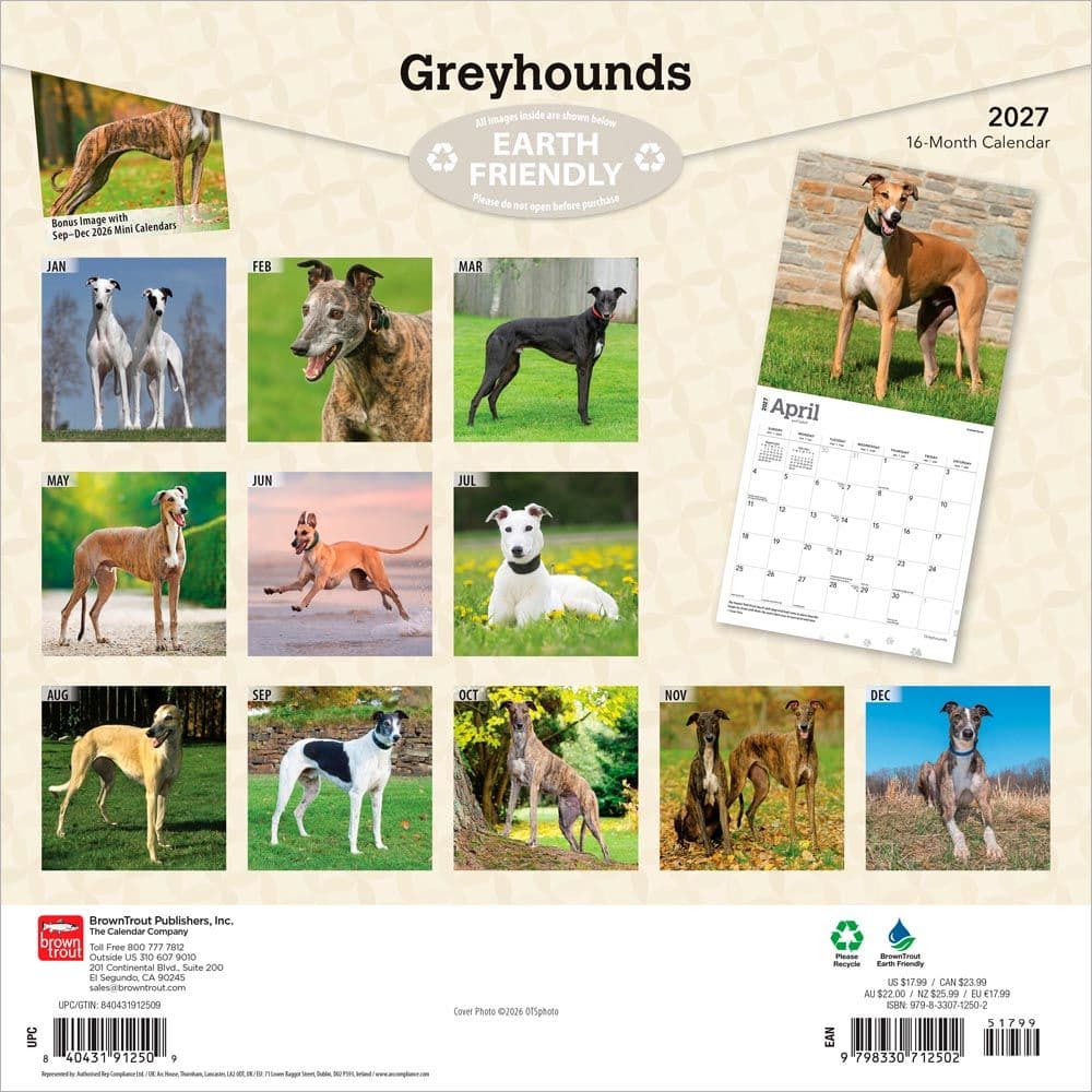 Greyhounds 2027 Wall Calendar First Alternate Image