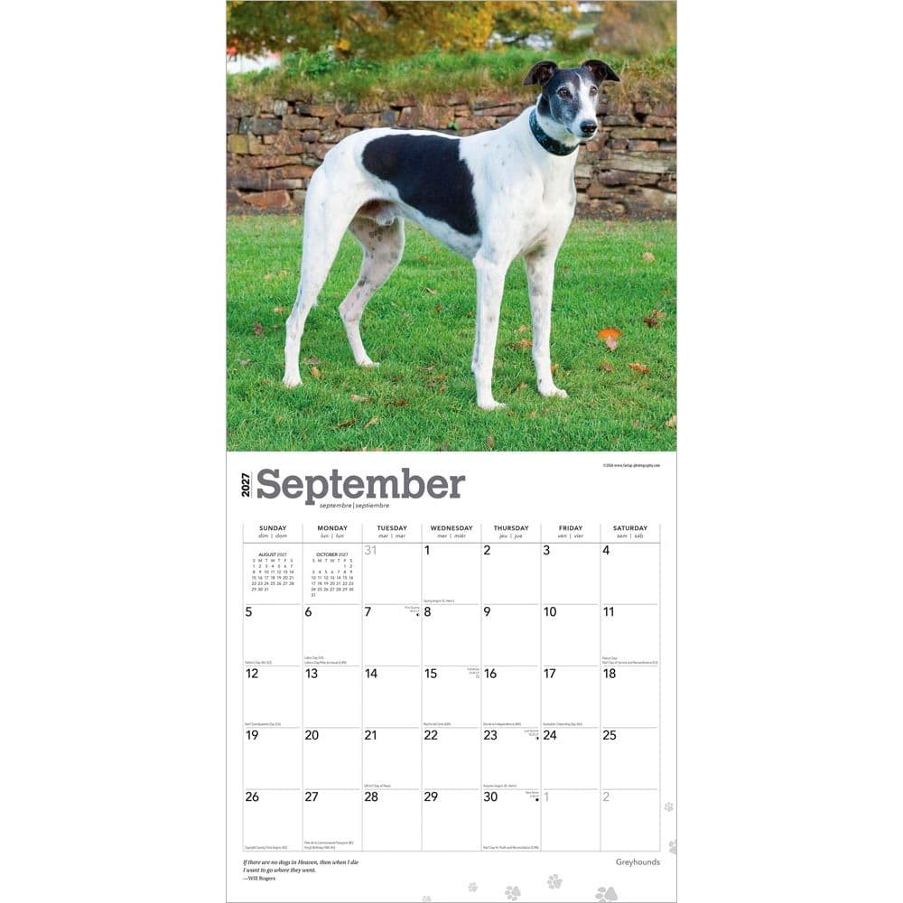 Greyhounds 2027 Wall Calendar Third Alternate Image