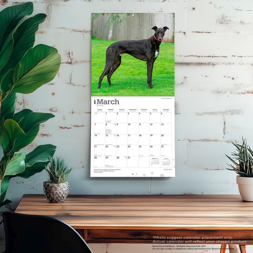 Greyhounds 2027 Wall Calendar Fourth Alternate Image