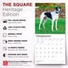 image Greyhounds 2027 Wall Calendar Fifth Alternate Image