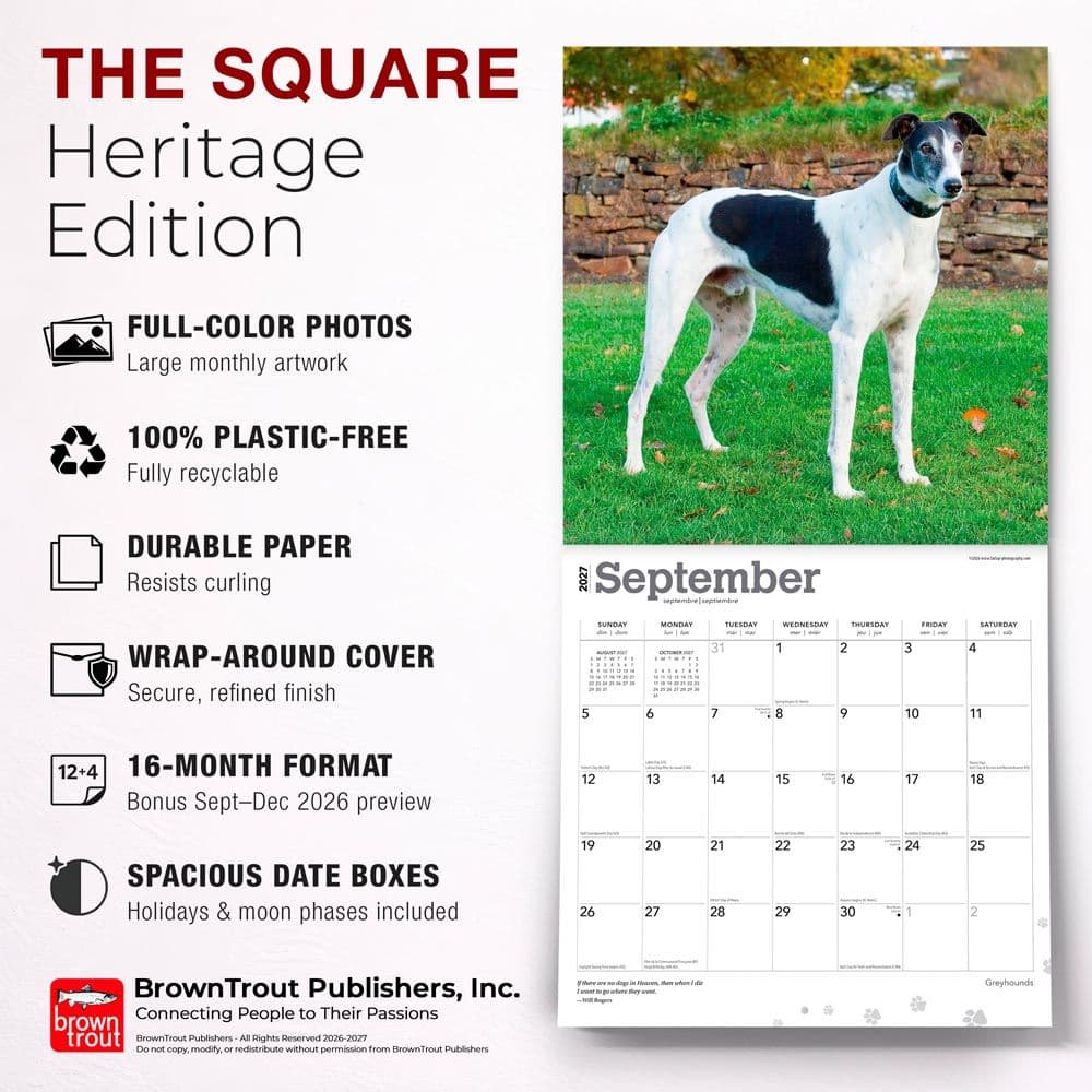 Greyhounds 2027 Wall Calendar Fifth Alternate Image