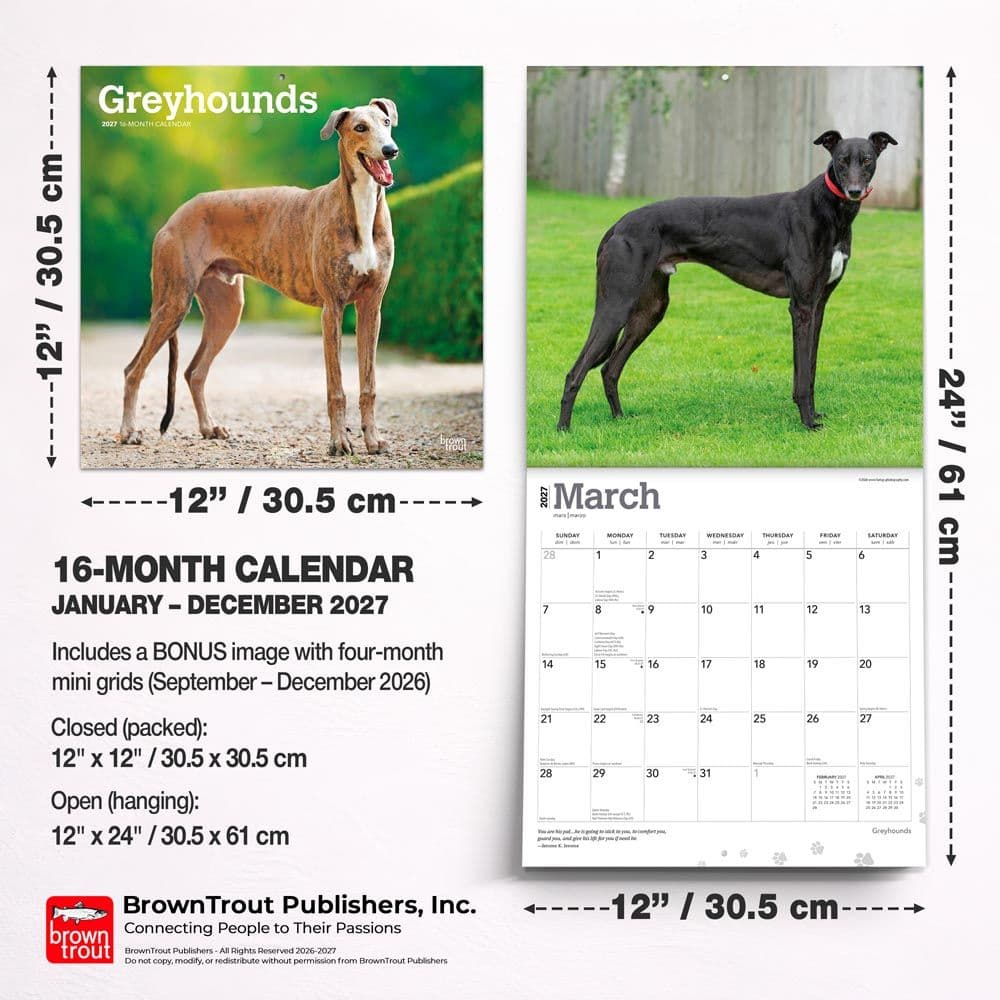 Greyhounds 2027 Wall Calendar Sixth Alternate Image