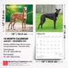 image Greyhounds 2027 Wall Calendar Sixth Alternate Image