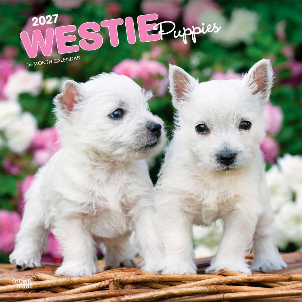 West Highland Terrier Puppies 2027 Wall Calendar