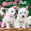 image West Highland Terrier Puppies 2027 Mini Wall Calendar Main Product Image