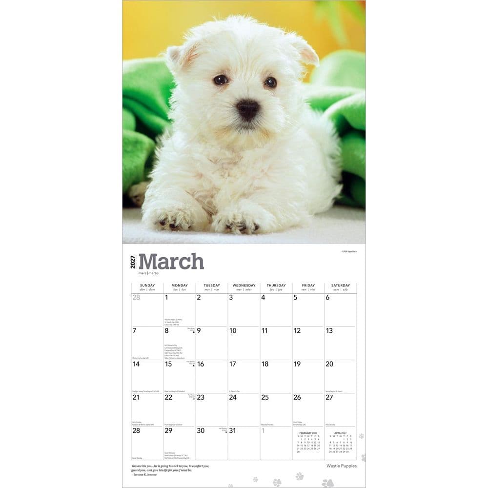 West Highland Terrier Puppies 2027 Mini Wall Calendar Second Alternate Image