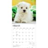 image West Highland Terrier Puppies 2027 Mini Wall Calendar Second Alternate Image