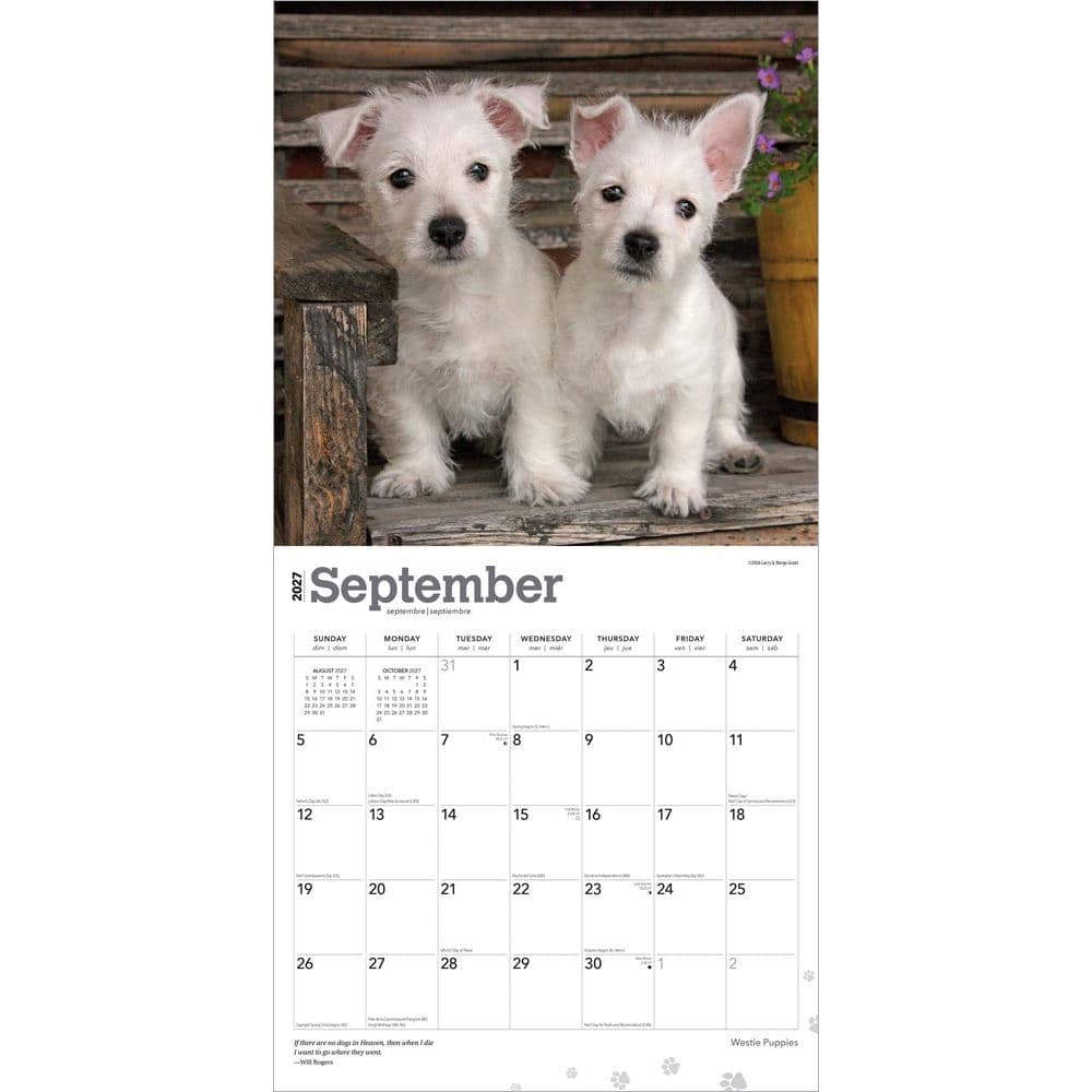 West Highland Terrier Puppies 2027 Mini Wall Calendar Third Alternate Image