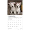 image West Highland Terrier Puppies 2027 Mini Wall Calendar Third Alternate Image