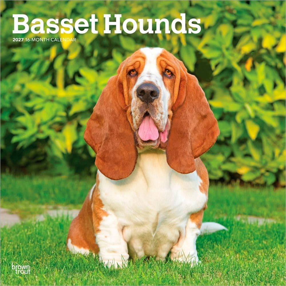 image Basset Hounds 2027 Wall Calendar Main Product Image