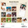 image Basset Hounds 2027 Wall Calendar First Alternate Image