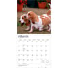 image Basset Hounds 2027 Wall Calendar Second Alternate Image