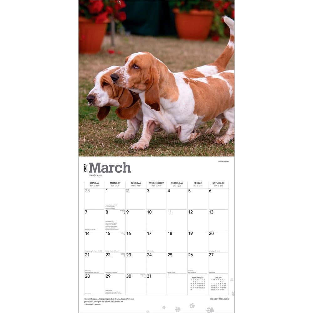 Basset Hounds 2027 Wall Calendar Second Alternate Image