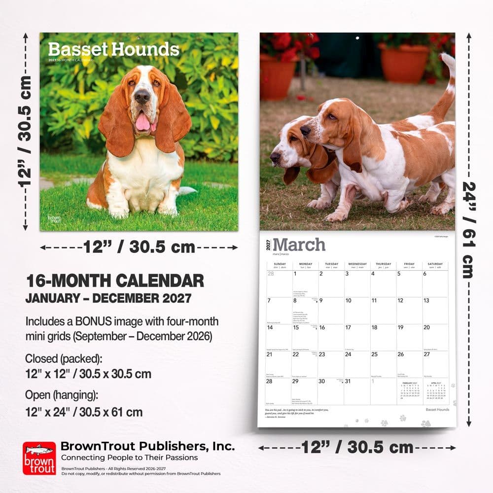 Basset Hounds 2027 Wall Calendar Sixth Alternate Image