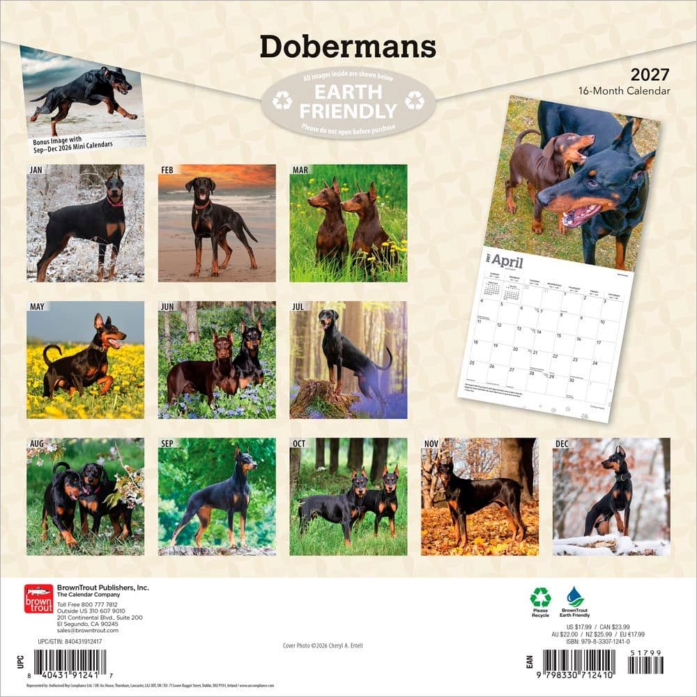 Dobermans 2027 Wall Calendar First Alternate Image