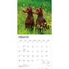 image Dobermans 2027 Wall Calendar Second Alternate Image