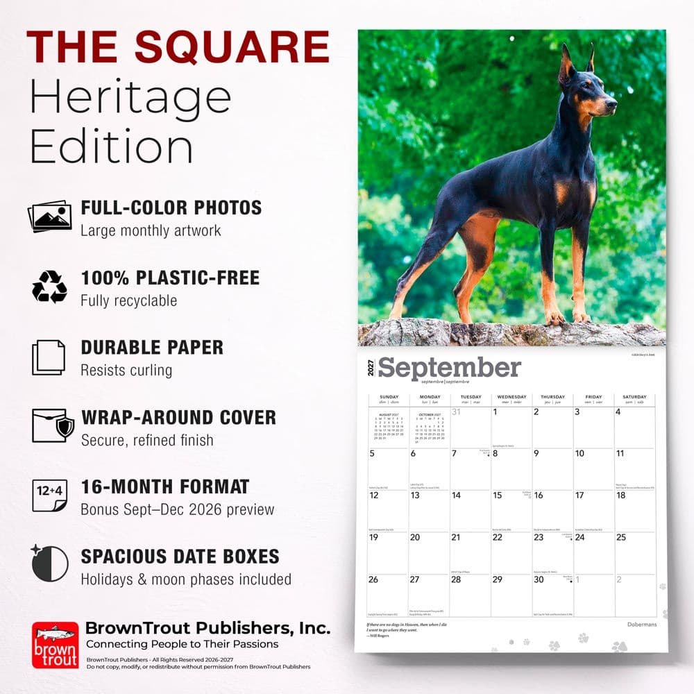 Dobermans 2027 Wall Calendar Fifth Alternate Image
