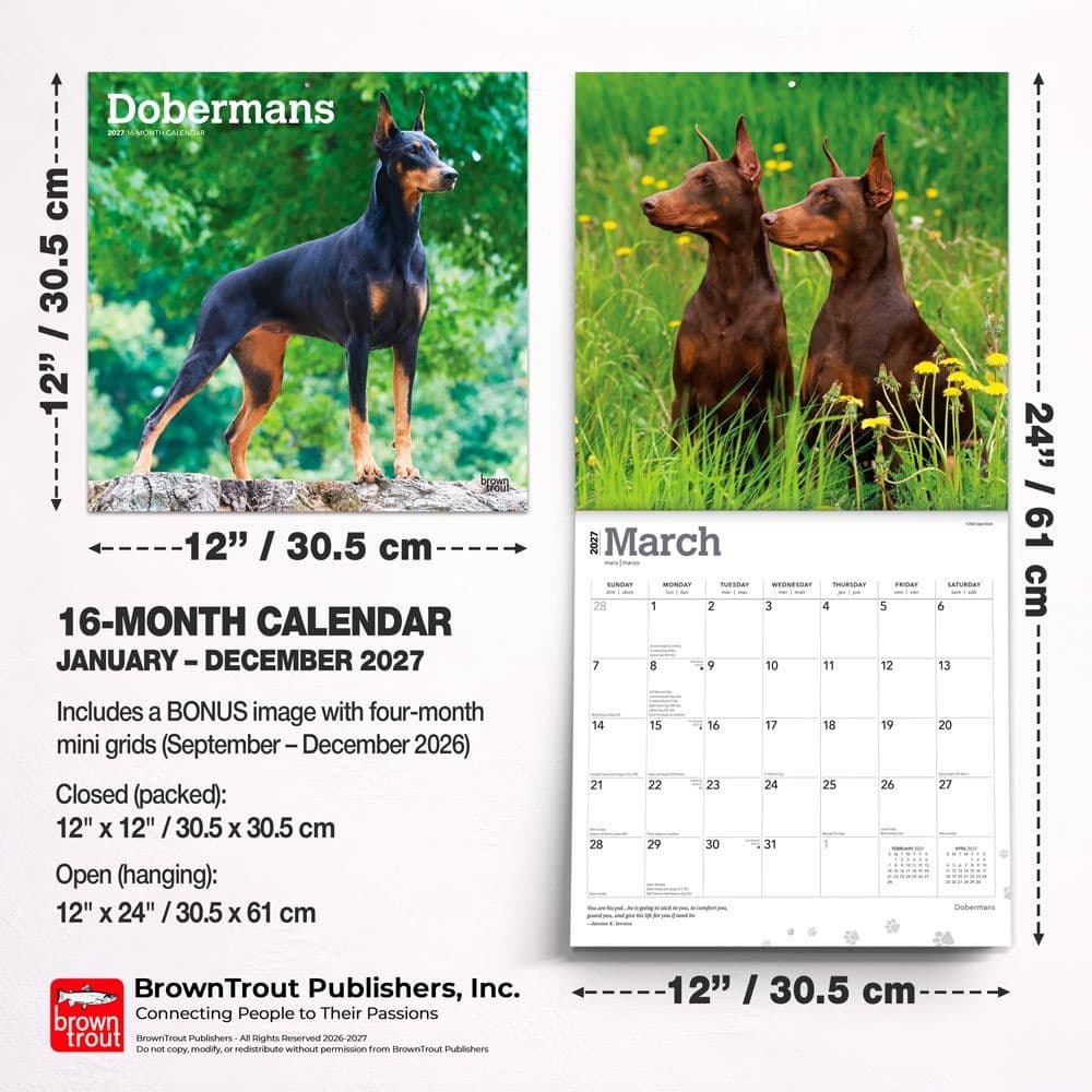 Dobermans 2027 Wall Calendar Sixth Alternate Image