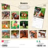 image Boxers International 2027 Wall Calendar First Alternate Image