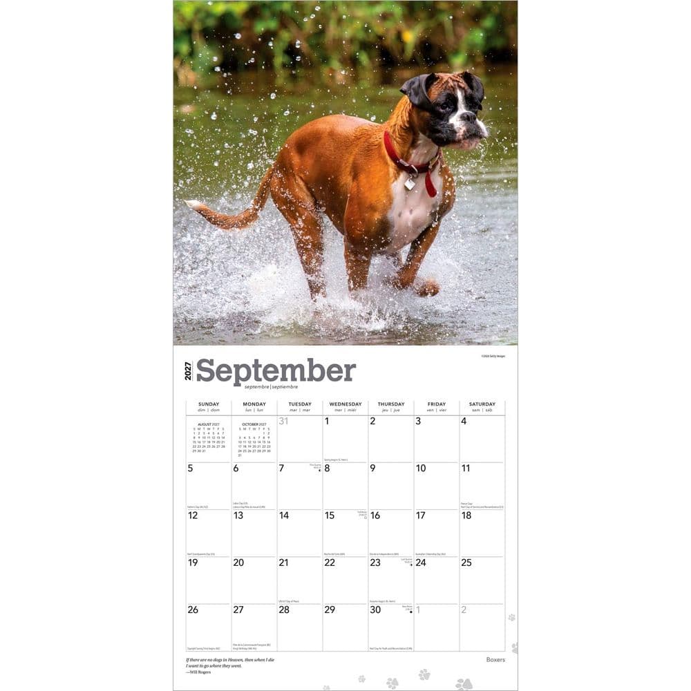 Boxers International 2027 Wall Calendar Third Alternate Image