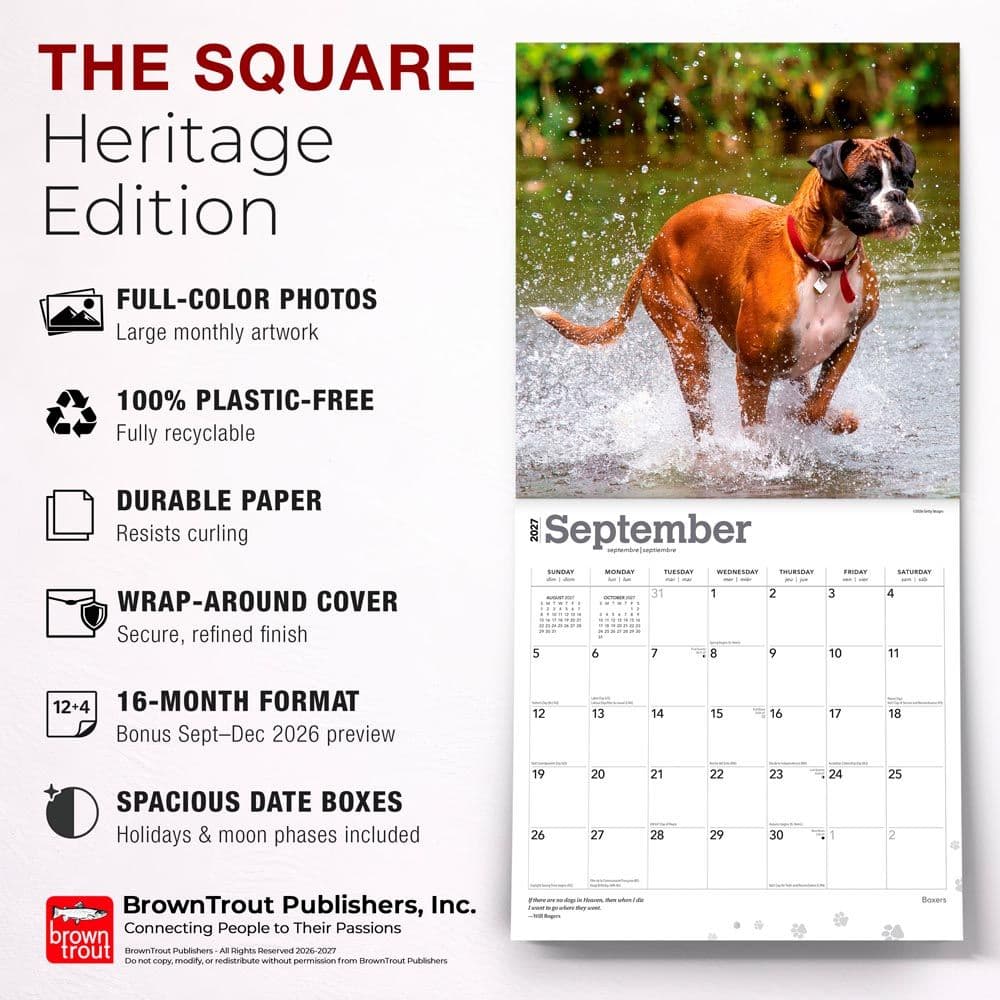 Boxers International 2027 Wall Calendar Fifth Alternate Image