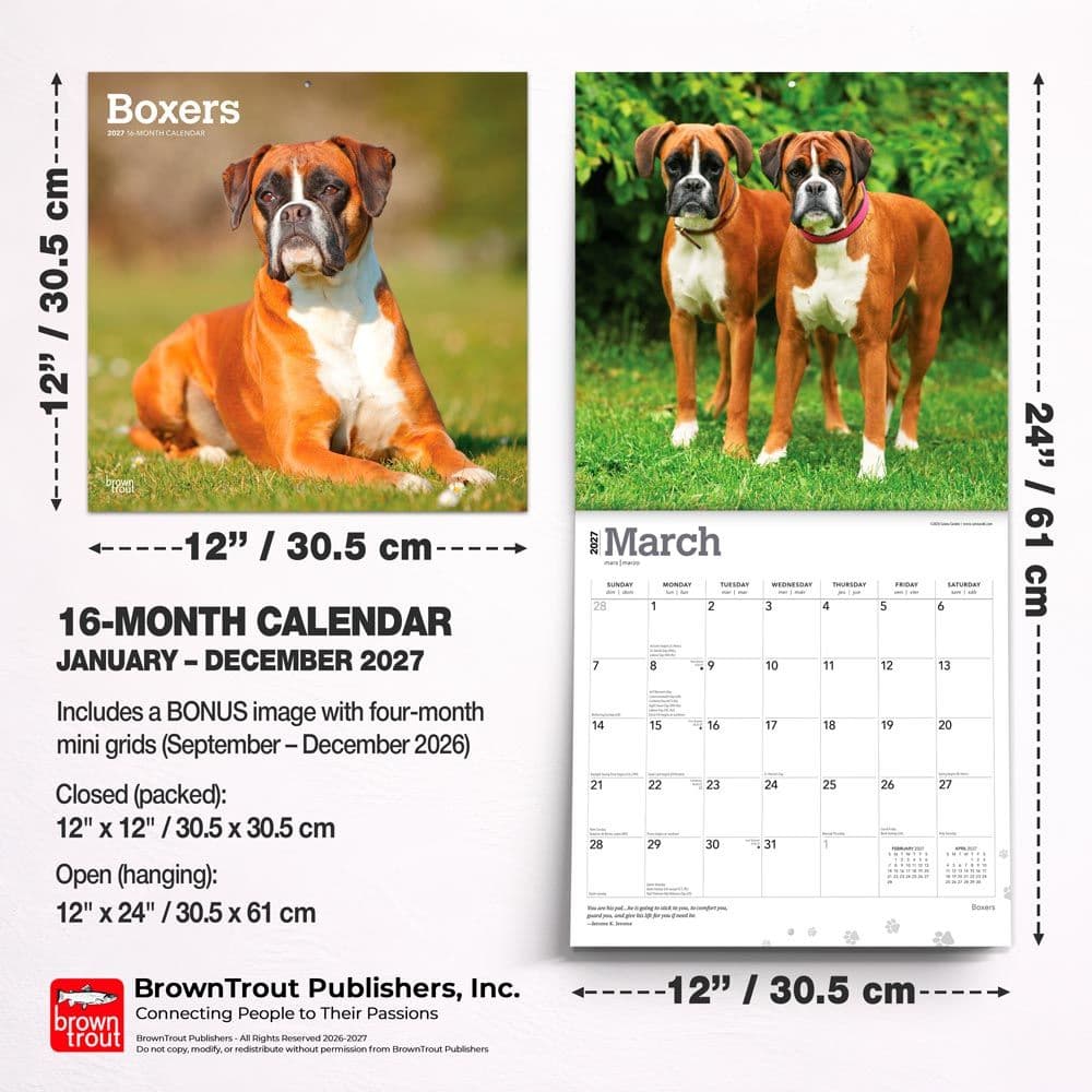 Boxers International 2027 Wall Calendar Sixth Alternate Image