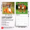 image Boxers International 2027 Wall Calendar Sixth Alternate Image