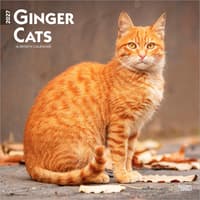 image Cats Ginger 2027 Wall Calendar Main Product Image