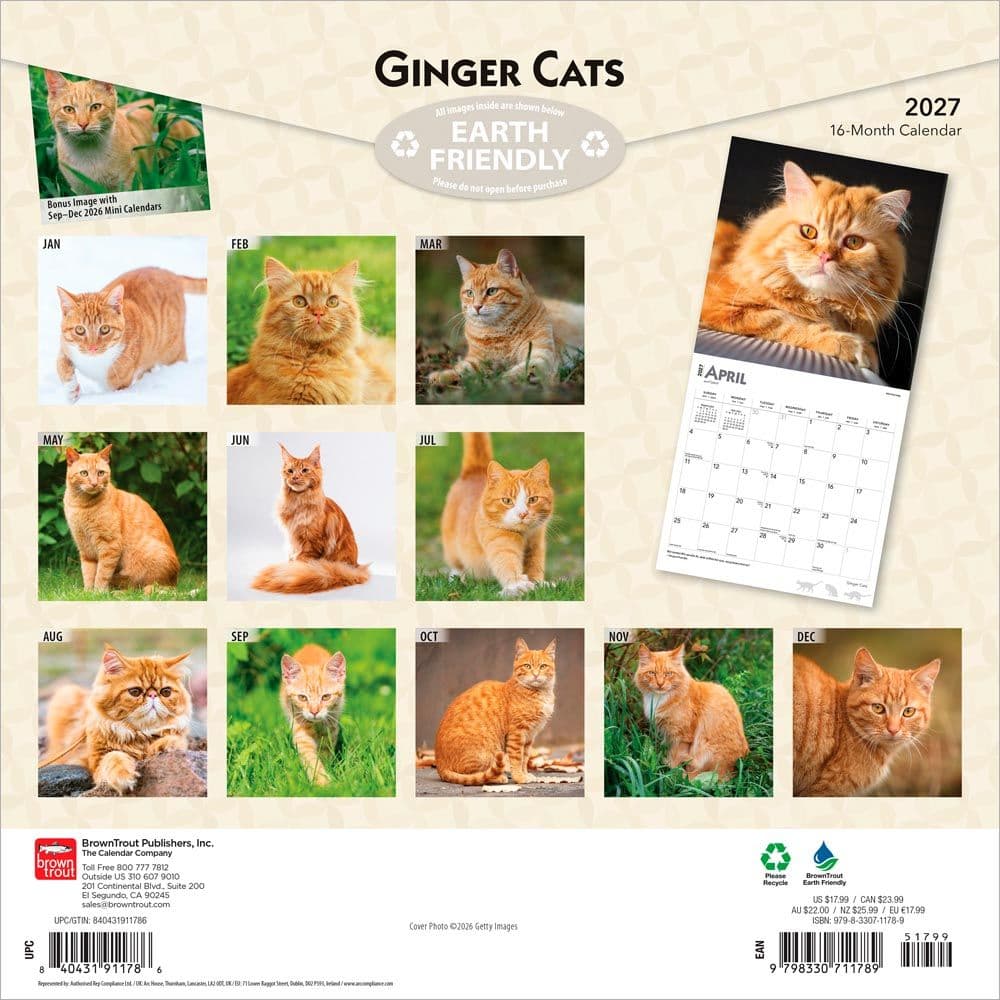 Cats Ginger 2027 Wall Calendar First Alternate Image