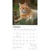 image Cats Ginger 2027 Wall Calendar Second Alternate Image