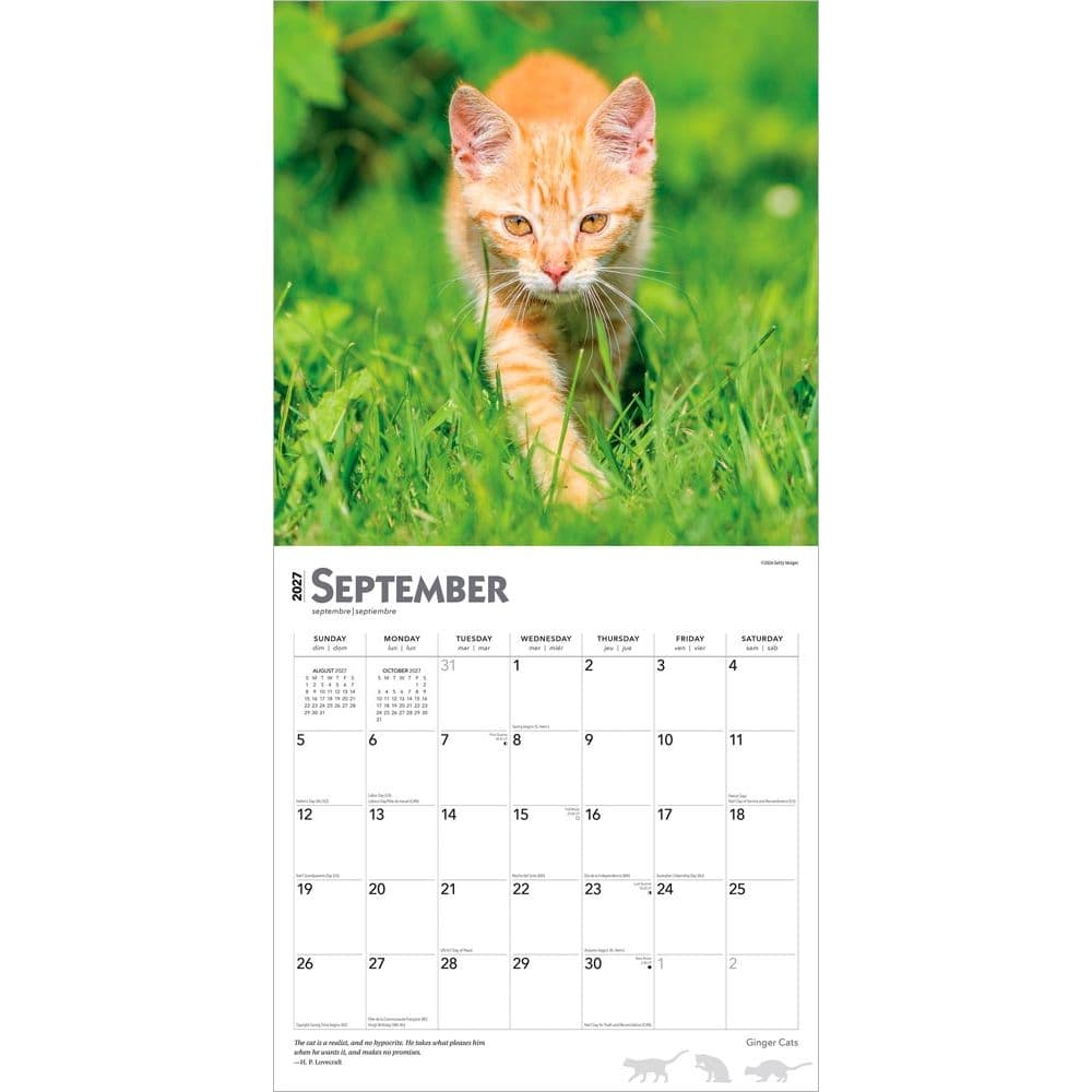 Cats Ginger 2027 Wall Calendar Third Alternate Image