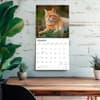 image Cats Ginger 2027 Wall Calendar Fourth Alternate Image