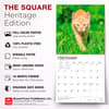 image Cats Ginger 2027 Wall Calendar Fifth Alternate Image