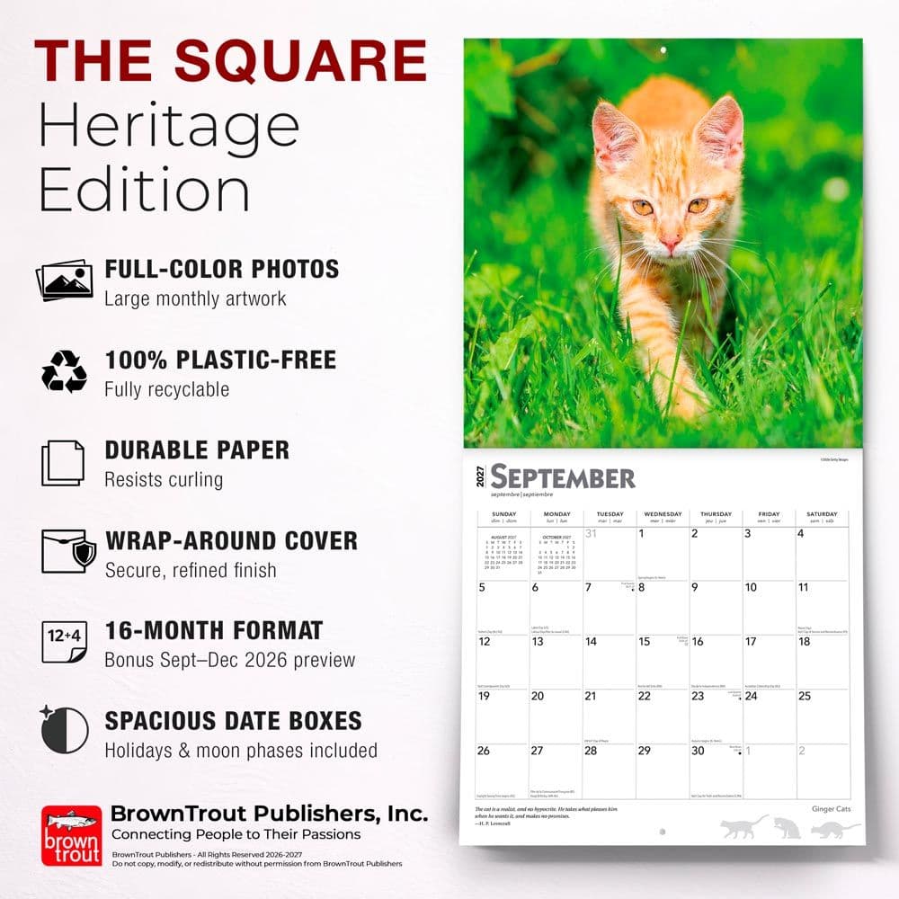 Cats Ginger 2027 Wall Calendar Fifth Alternate Image